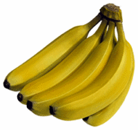 banana-bunch_d.gif