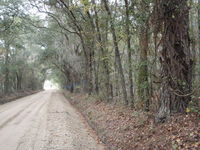 Quarterman Road with County Tape