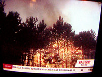 jas-07-fire1.jpg