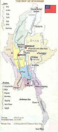 shankachin.jpg