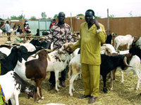 yacouba.jpg
